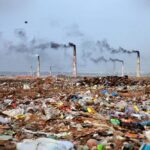 român moare poluării