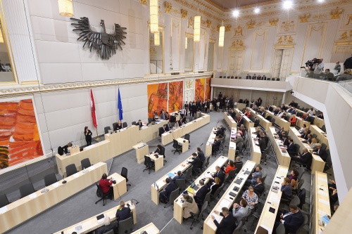 consiliul national austria