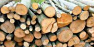 încălzirea cu lemne austria