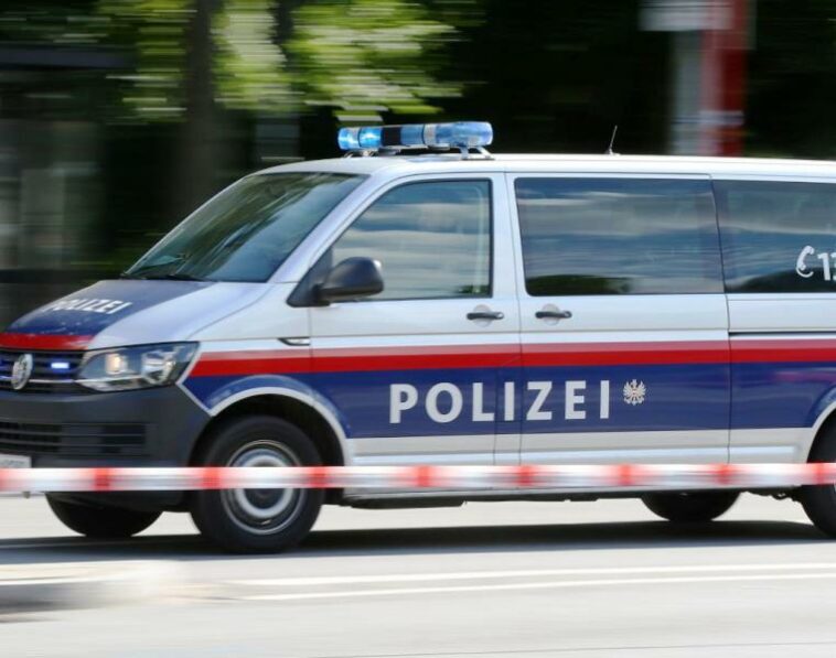 politia austria viena