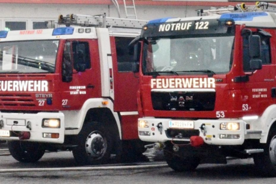 Viena incendiu apartament familie numeroasă