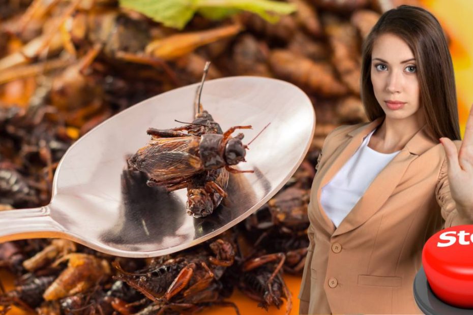Prima țară interzis introducerea insectelor alimentație