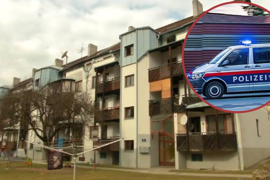 Austria nou-născut găsit mort apartament