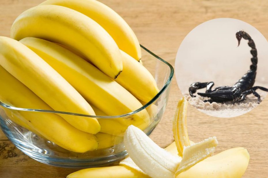 banane supermarket Lidl înțepată scorpion