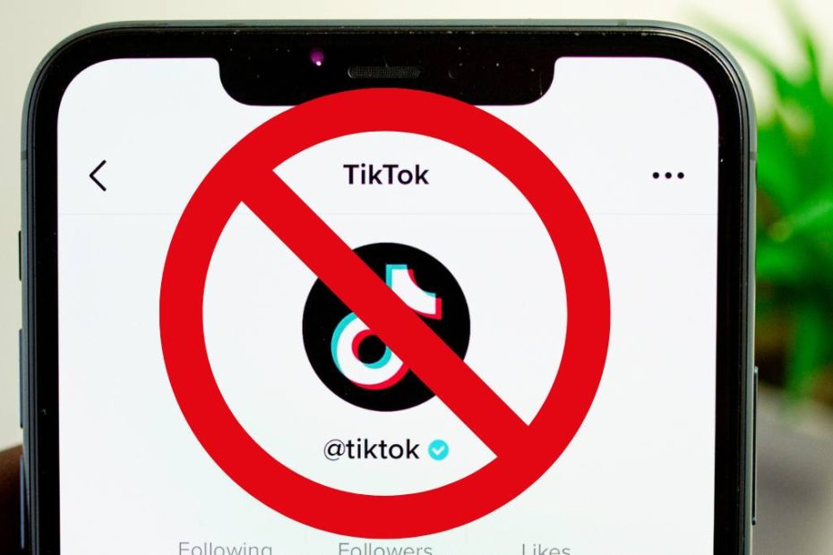 TikTok interzis telefoanele mobile