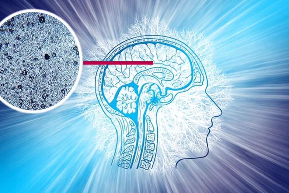 Microplasticele pot invada creierul în două ore