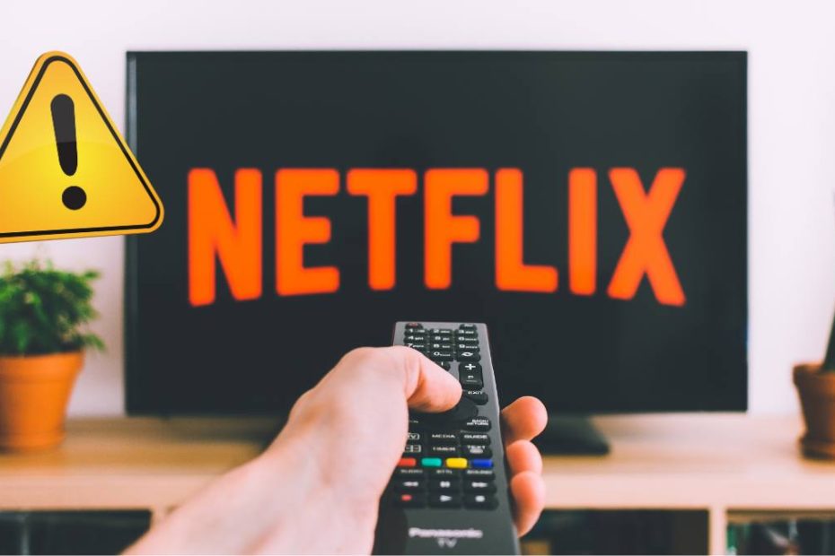 Netflix interzice partajarea parolei Austria