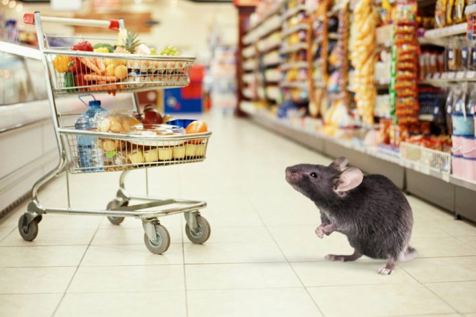 Alertă șoareci: supermarket și restaurant închise