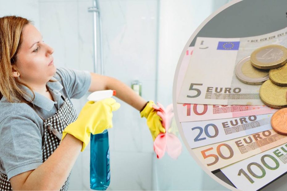 Cât se câștigă în curățenie în Austria 2024 (2)