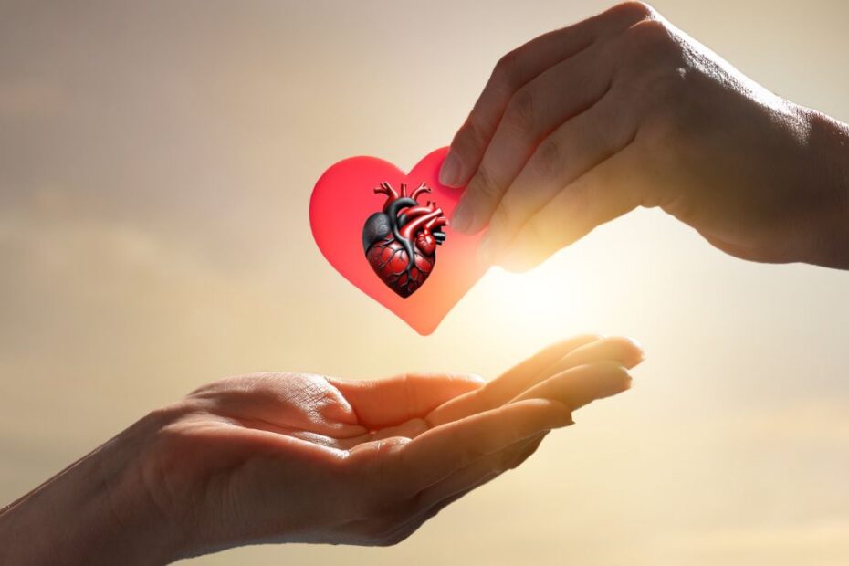 Mituri despre sănătatea inimii