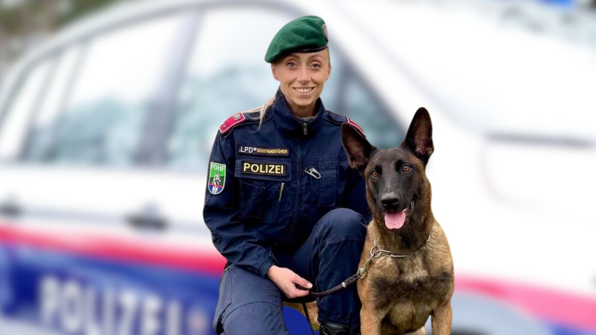 Români arestați furt Austria Hörsching