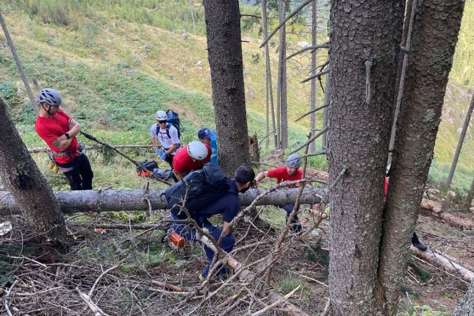 Accident forestier Austria