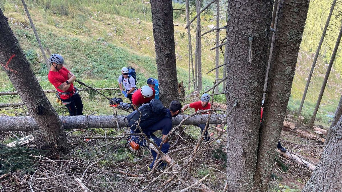 Accident forestier Austria