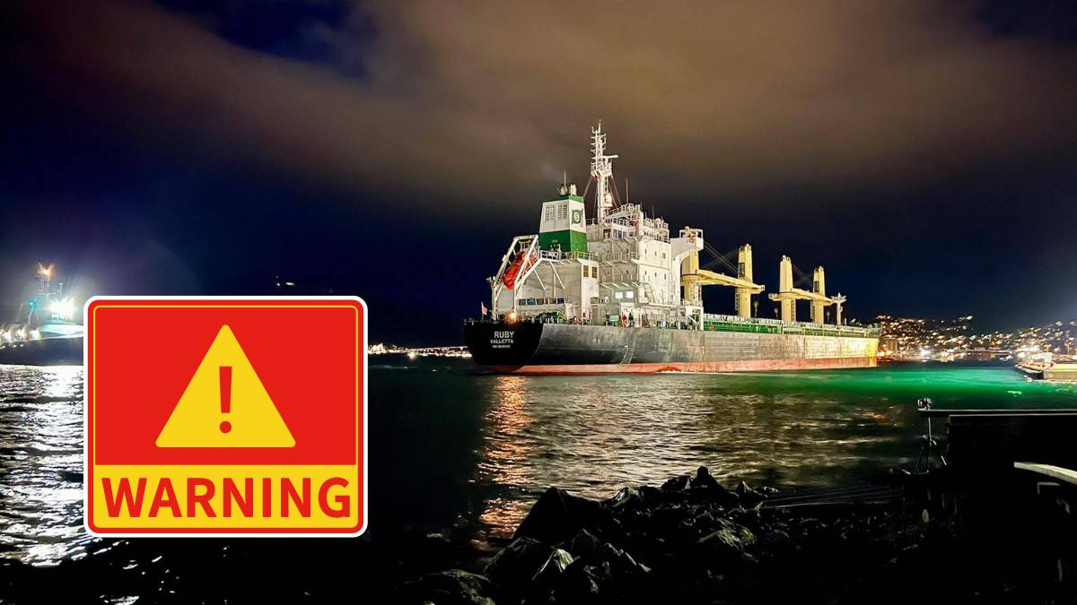 Navă comercială fotografiată pe mare pe timp de noapte, imagine de arhivă