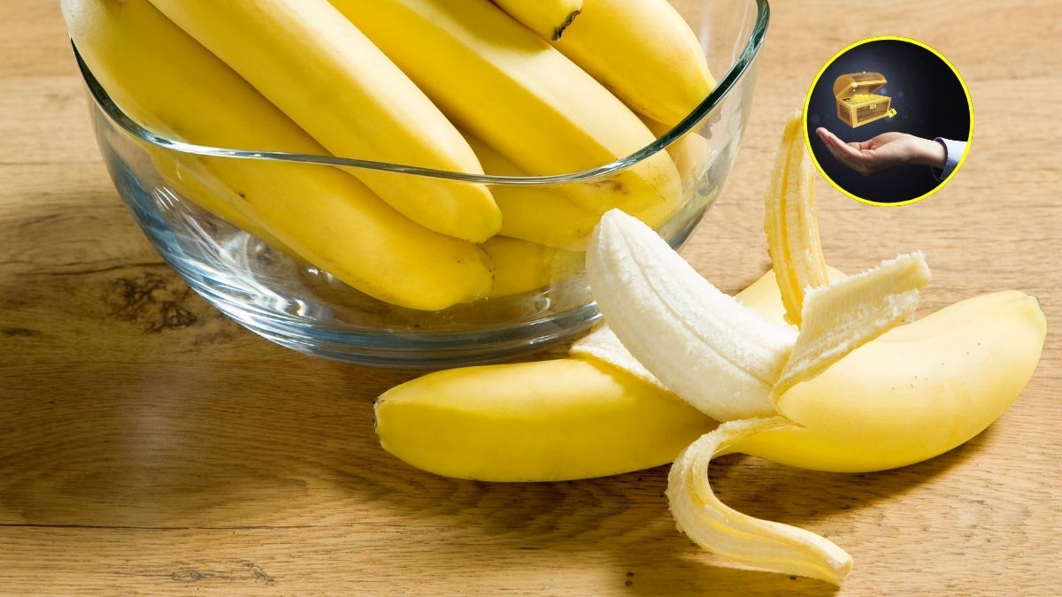 Dacă ai coji de banane ai o comoară