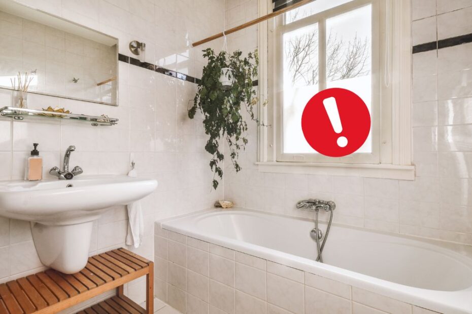 Ingredientul secret din baie care elimină insectele din casă