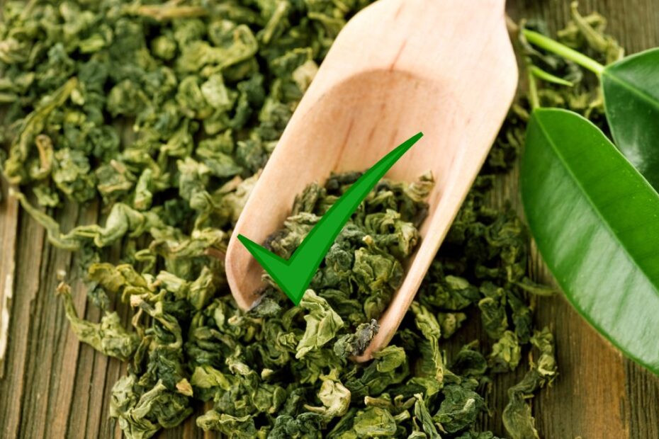 Planta medicinală bună pentru varice