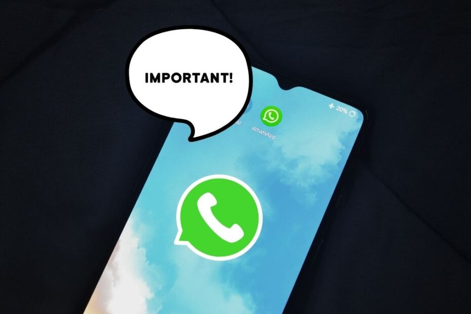 Noua caracteristică a capturii de ecran WhatsApp