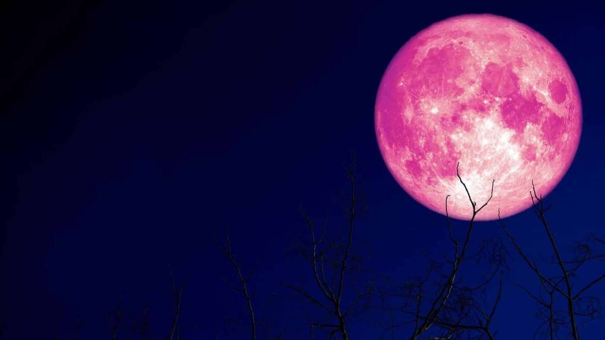 Luna Căpșună în 2025
