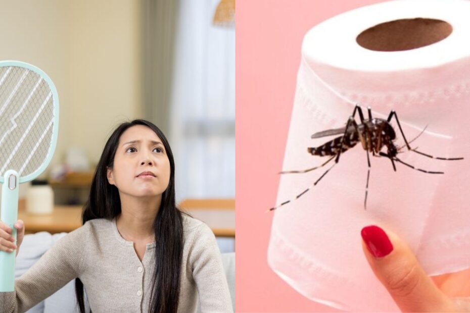 Trucul viral cu hârtia igienică care te scapă de cei mai enervanți musafiri ai verii foto țânțar și hârtie igienică