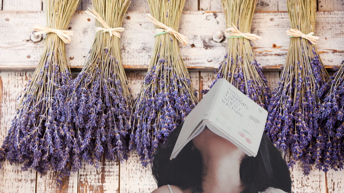 lavanda magia mov foto flori de lavandă uscată femeie adulmecă parfumul