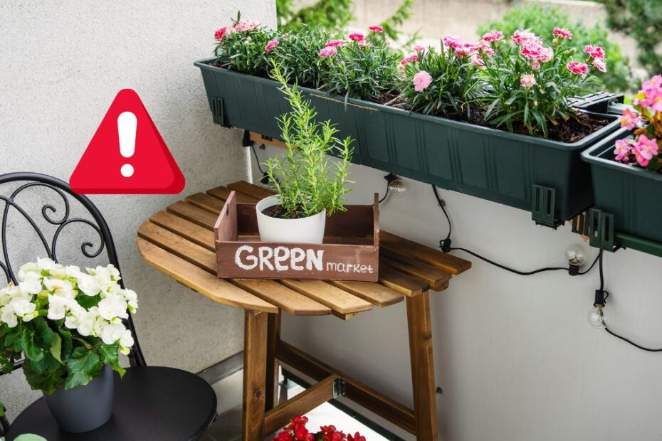 Invenția care udă plantele când sunteți în vacanță