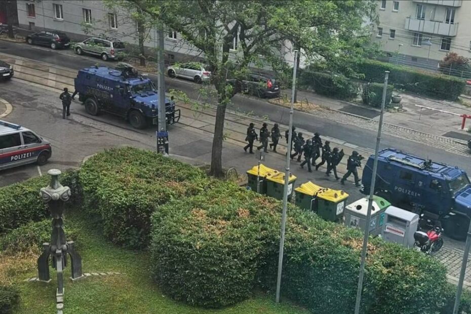 impuscaturi viena