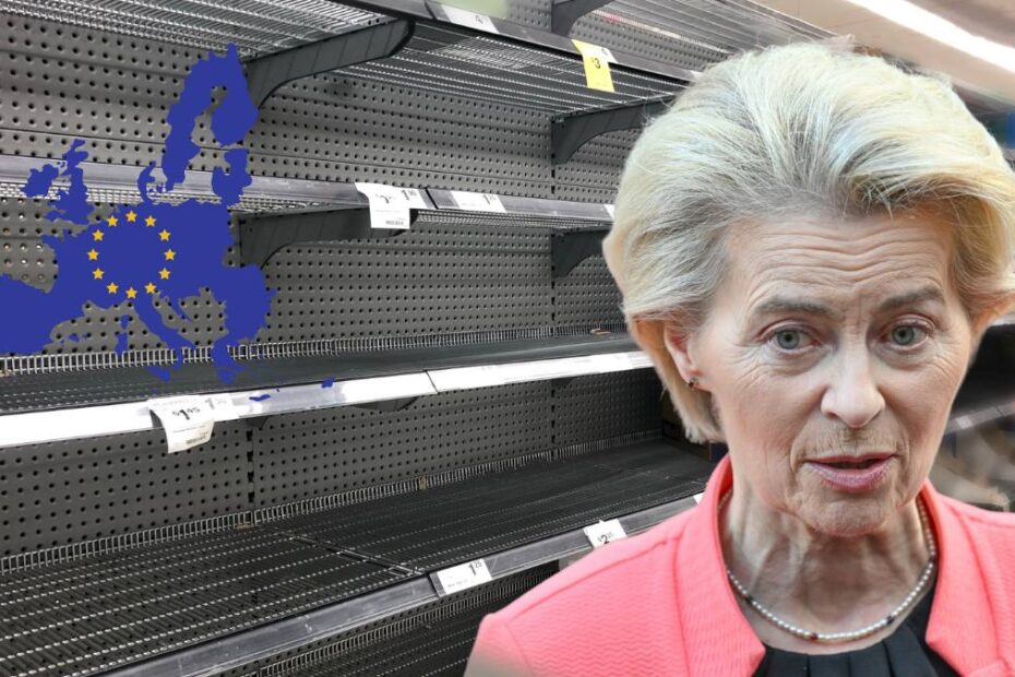 Lege UE pentru protecția pădurilor