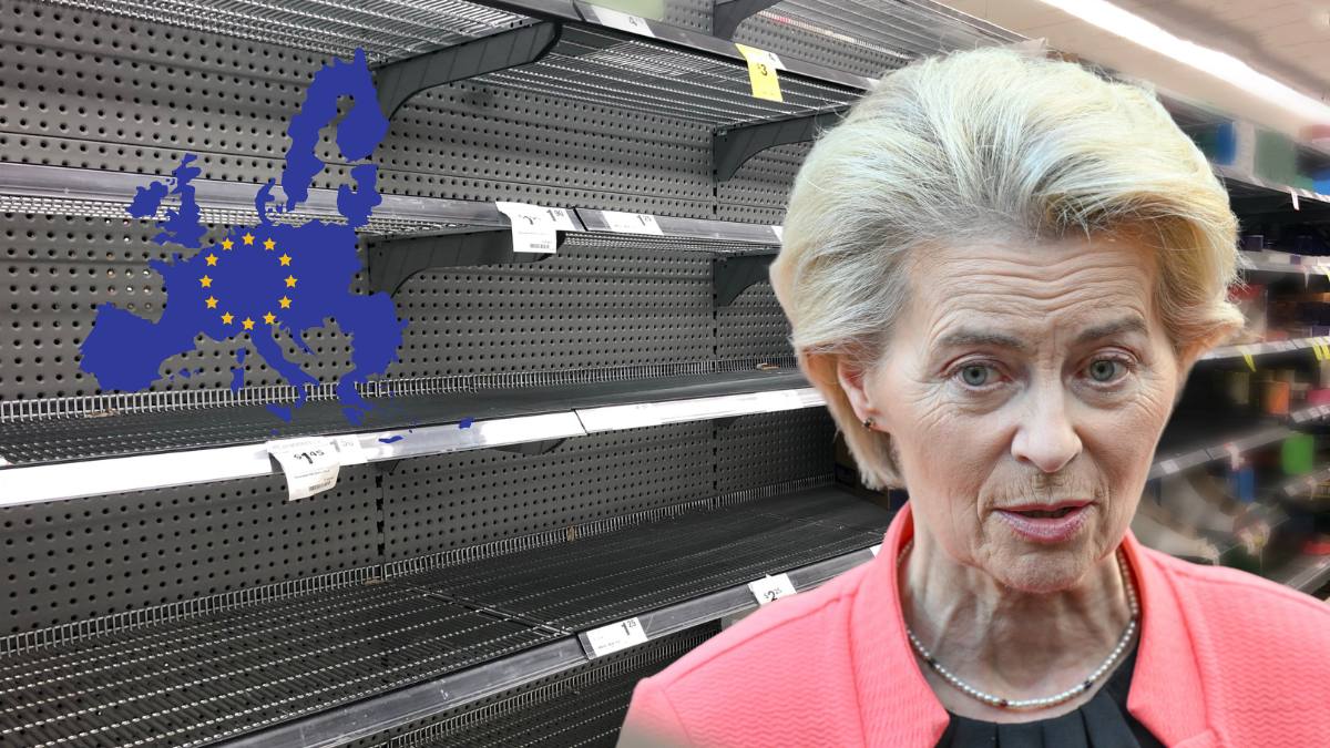 Lege UE pentru protecția pădurilor