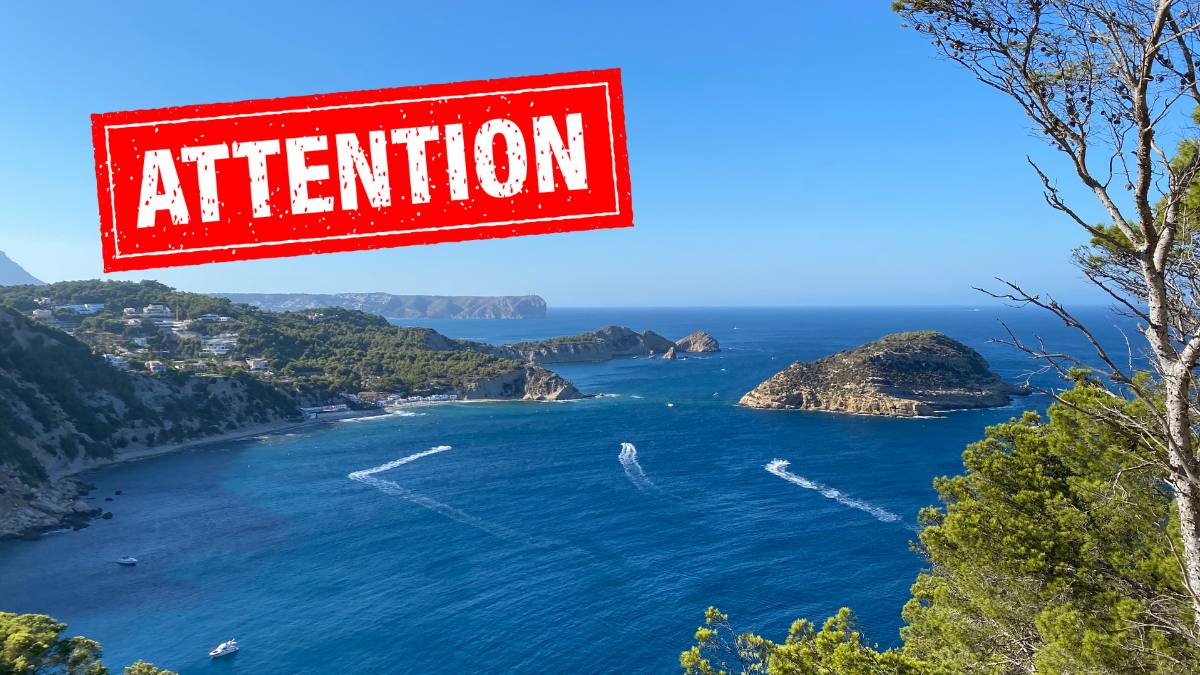 Plaje închise din cauza creaturi marine ucigașe