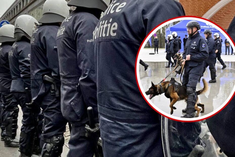 capitala violente