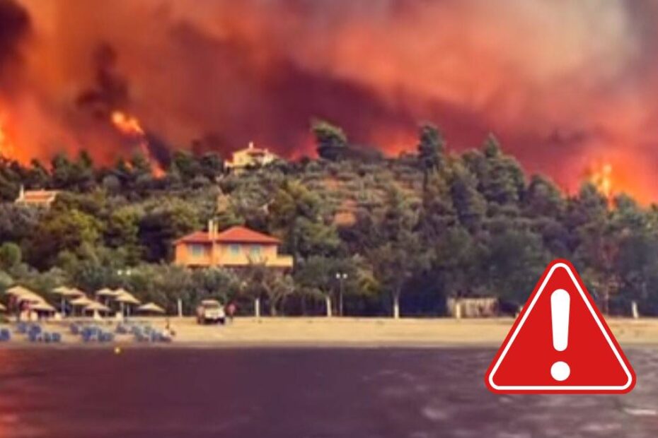 incendii vacante