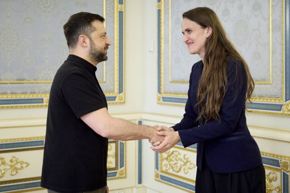 Oana Țoiu s-a întâlnit cu Zelenski