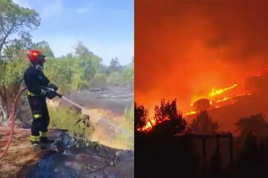român mort ars incendiu Spania