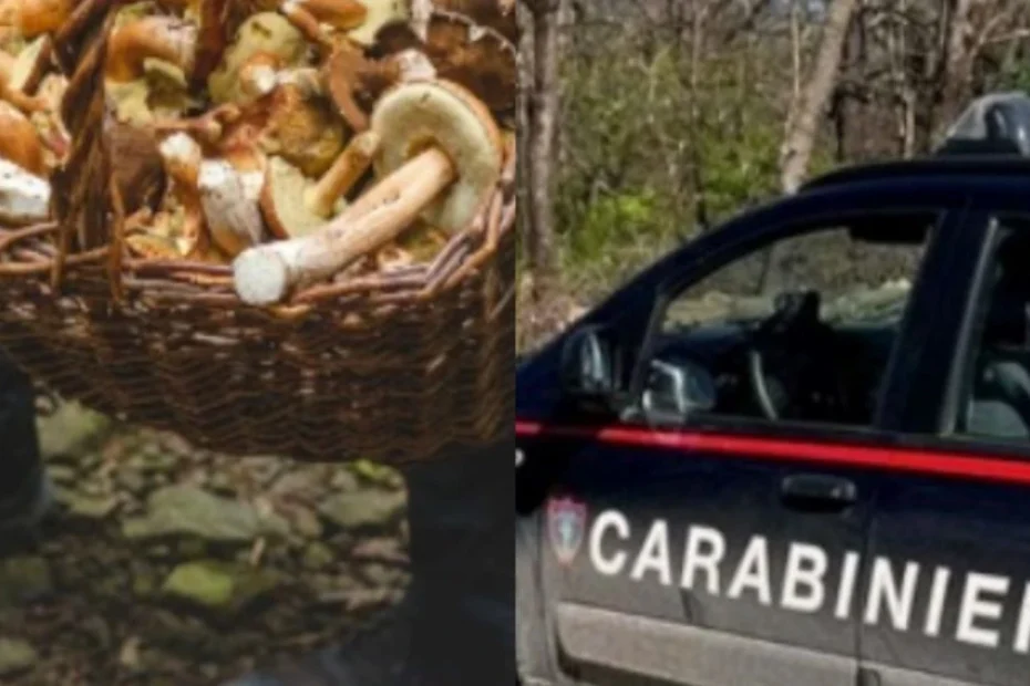 Bărbat Mort Ciuperci