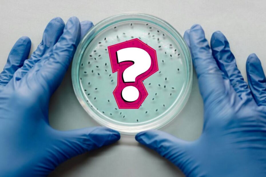 bacterii ucigase
