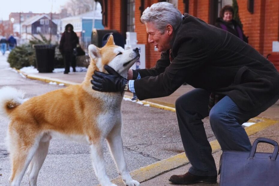 să vorbești cu animalele de companie ca și cum ar fi oameni