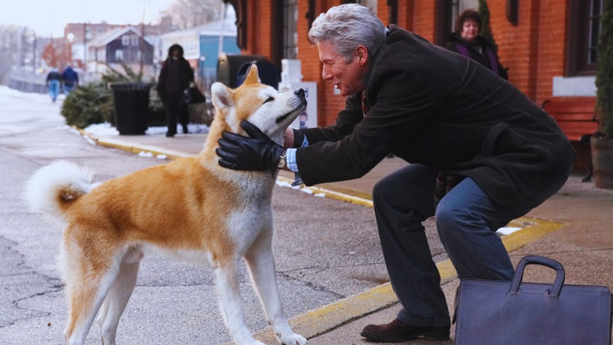 să vorbești cu animalele de companie ca și cum ar fi oameni