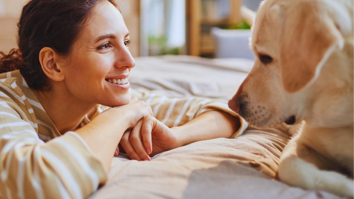  vorbești cu animalele de companie ca și cum ar fi oameni