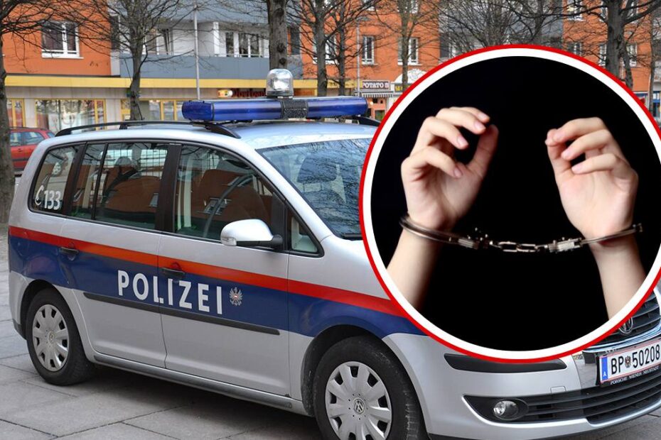 ingrijitoare deportata