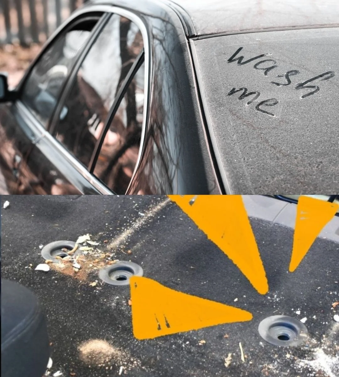 Ce spune despre tine o mașină mereu murdară – explicația surprinzătoare a psihologilor