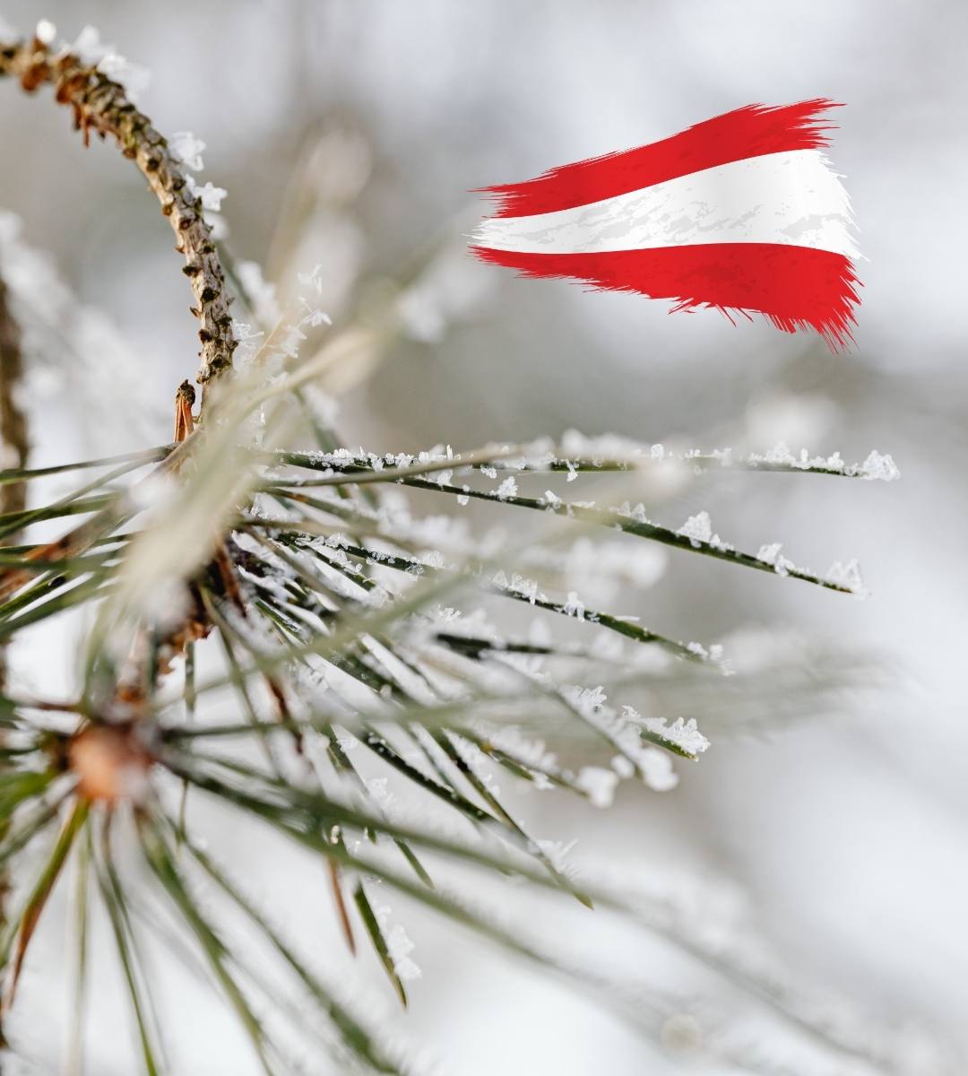 Austria se pregătește de iarnă