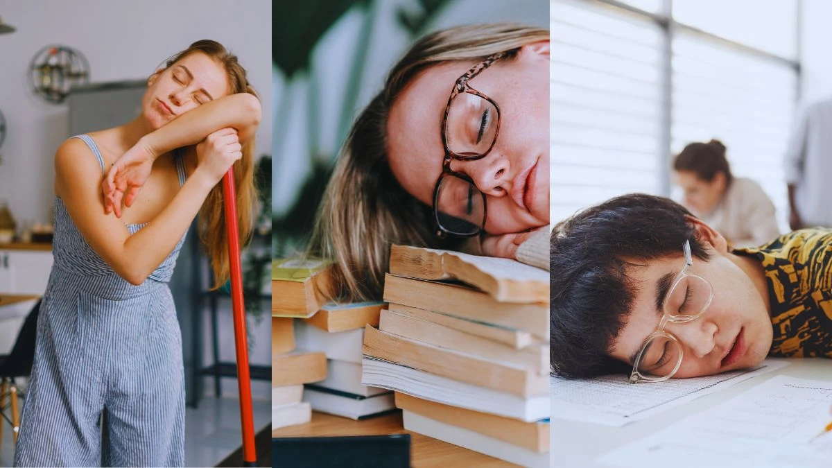 obiceiul de a dormi ziua
