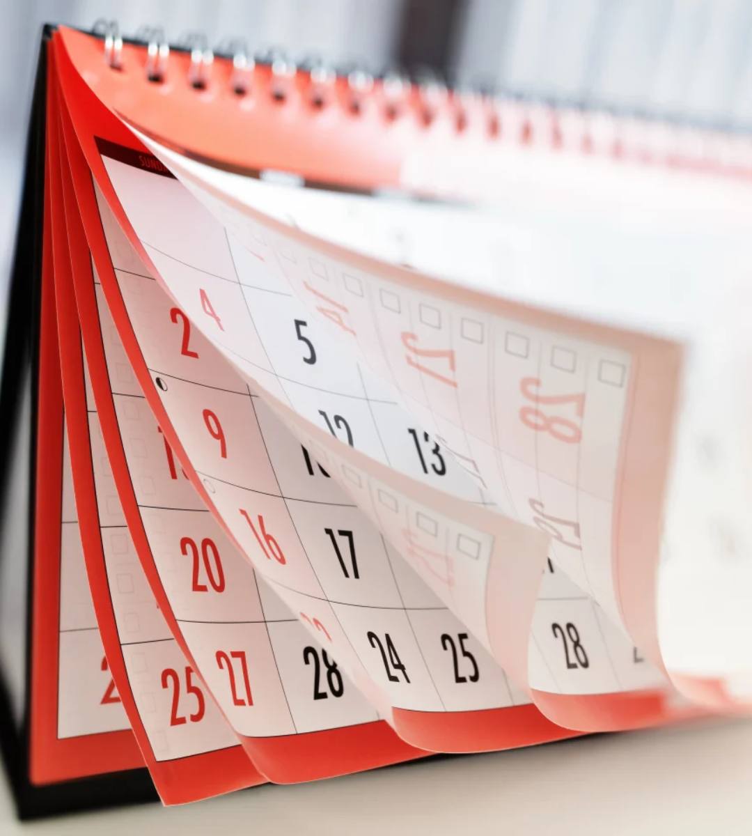 planificare zile libere 2026