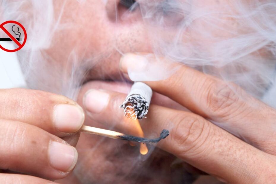 reguli fumatori austria