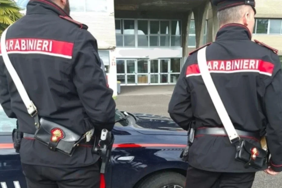 violență între eleve școală