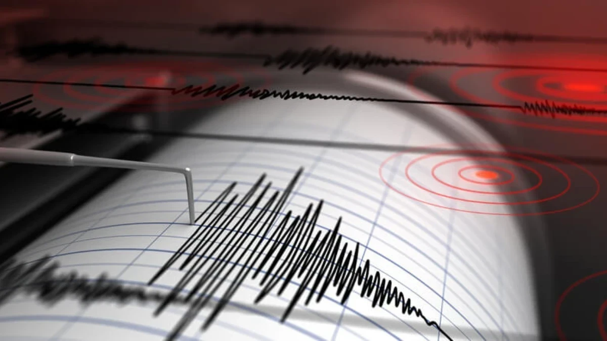 Seismograf care înregistrează activitatea seismică