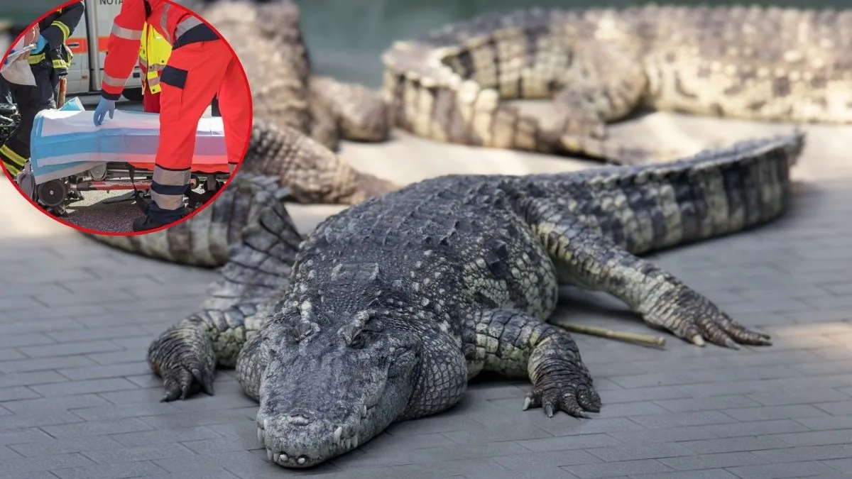 Copil de 3 ani aruncat într-un țarc cu crocodili