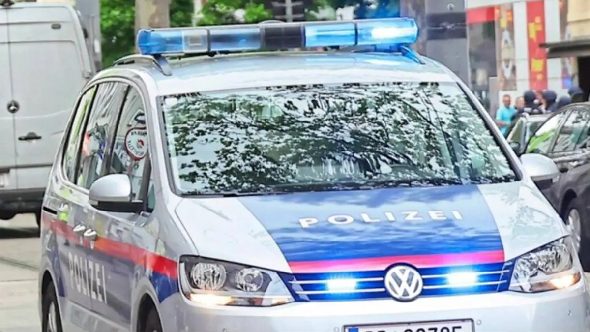 Bebeluș găsit mort la granița Austriei