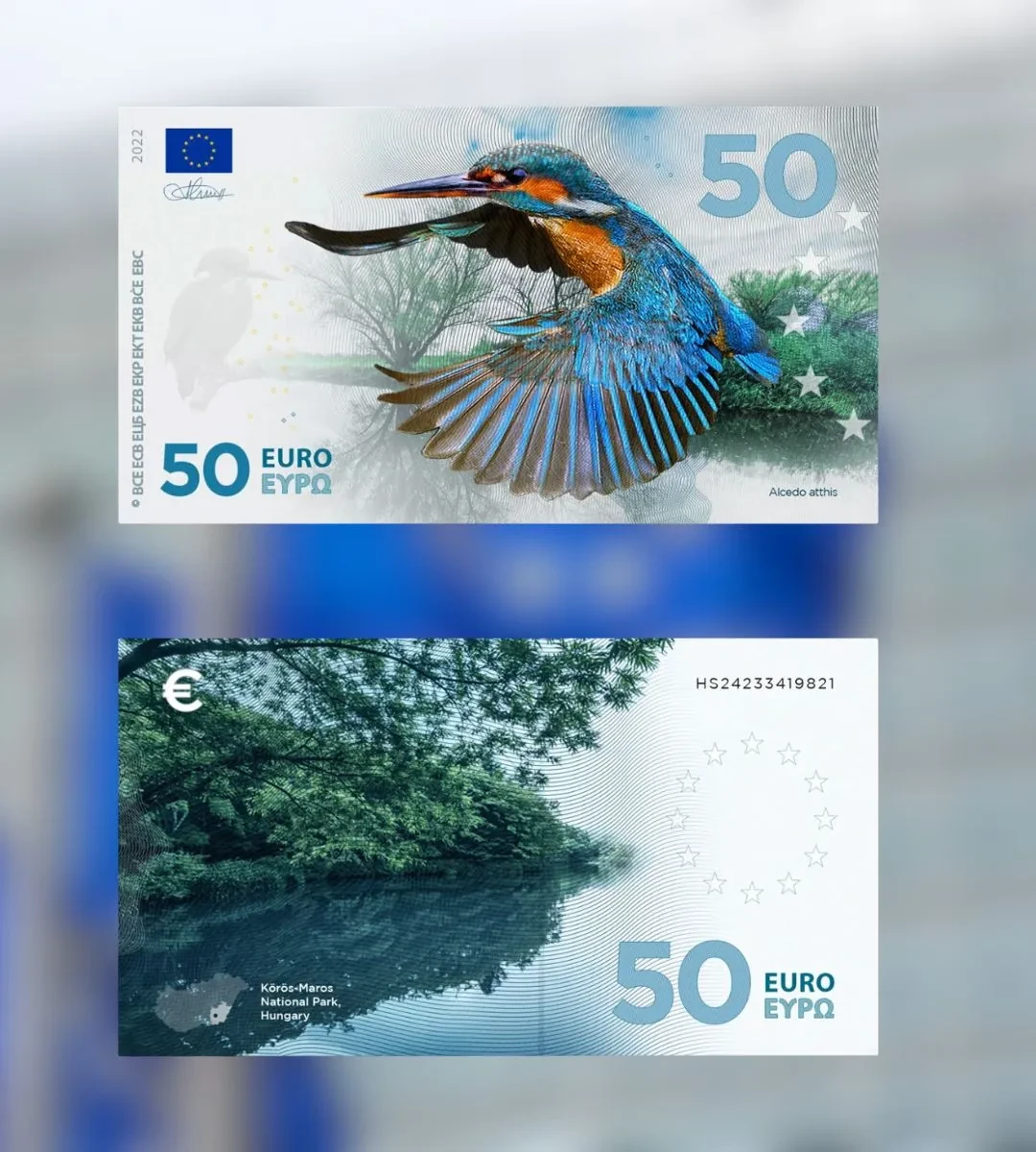 Bancnota euro dispare pentru totdeauna. În imagine, unul dintre modelele pentru noua bancnotă euro